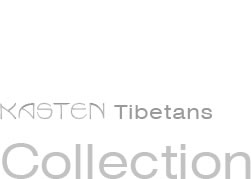 Kasten Tibetans Collection