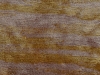 Silk Stria, Ochre